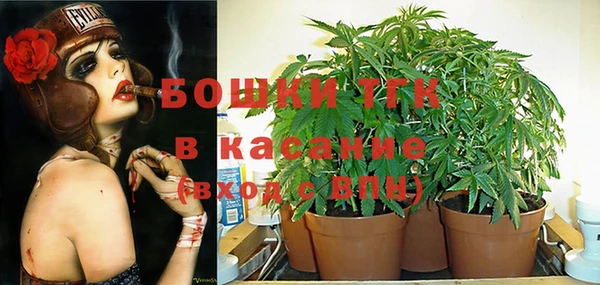 индика Абинск