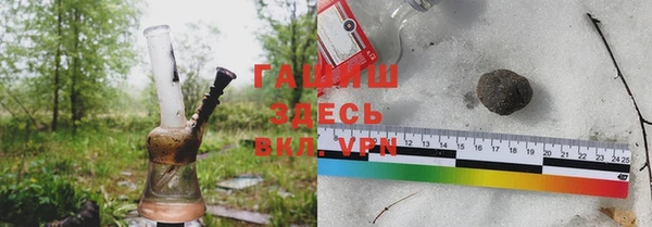 индика Абинск
