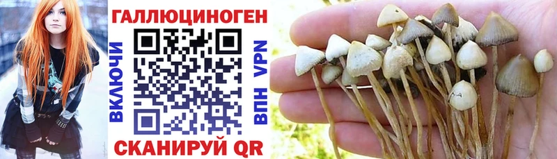 Галлюциногенные грибы Cubensis наркошоп ОМГ ОМГ ТОР Тбилисская
